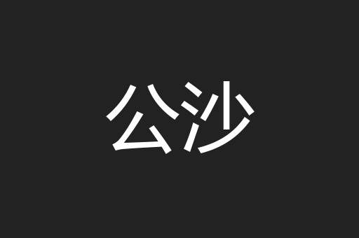 公沙