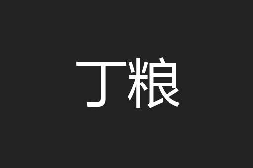丁粮