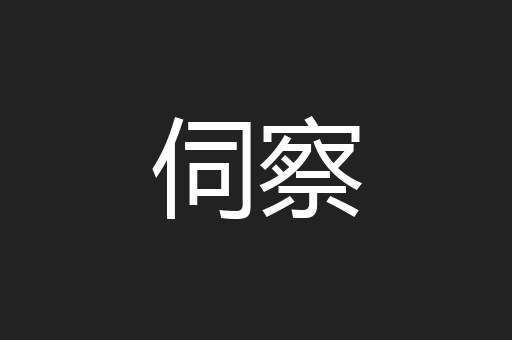 伺察