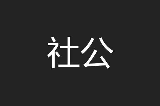 社公