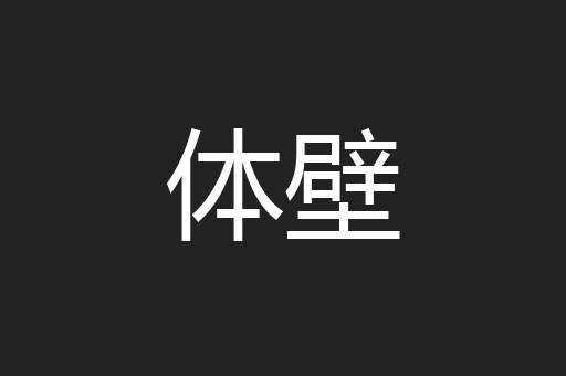 体壁