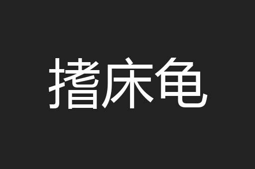 搘床龟