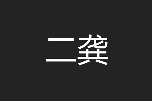 二龚