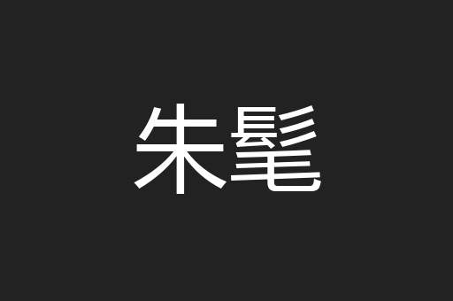 朱髦