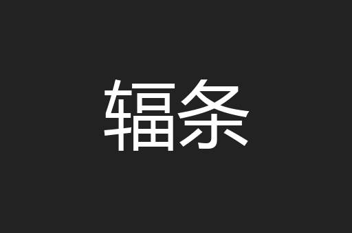 辐条
