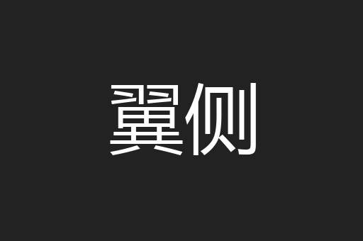 翼侧