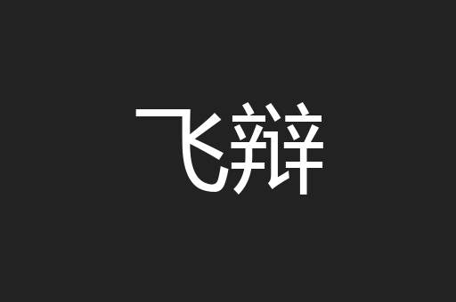 飞辩