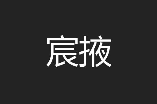宸掖