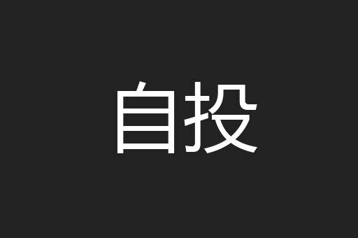 自投