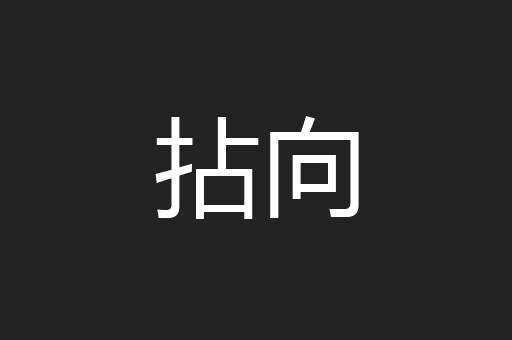 拈向