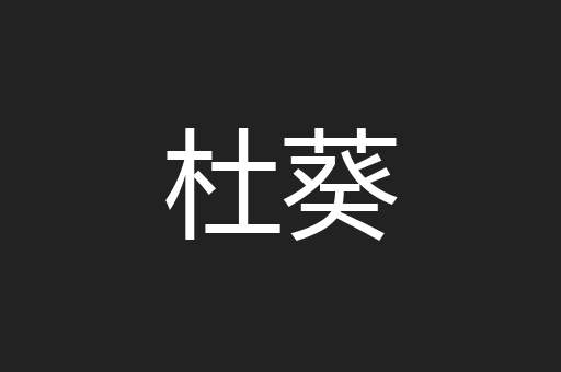 杜葵