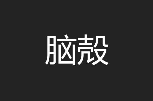 脑殻