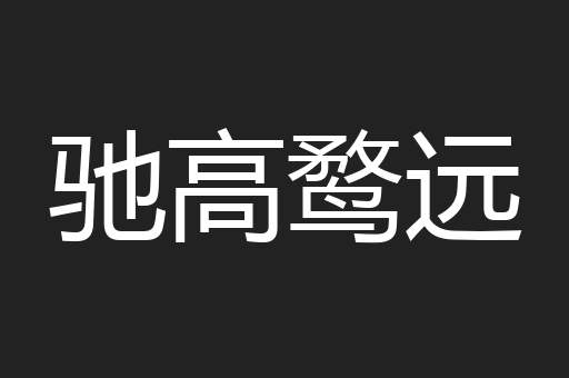 驰高鹜远