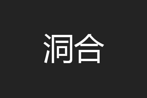 洞合
