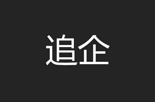 追企