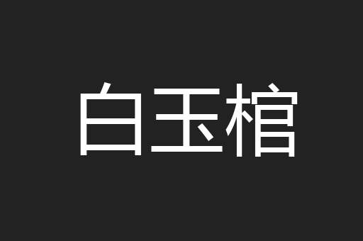 白玉棺