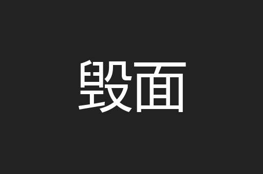 毁面
