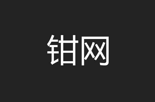 钳网