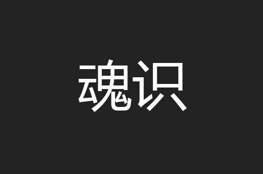 魂识