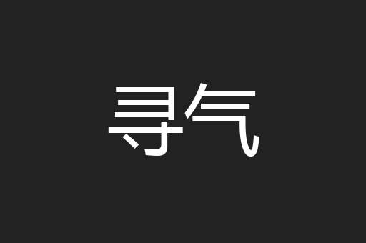 寻气