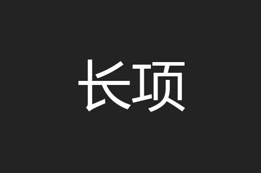 长项