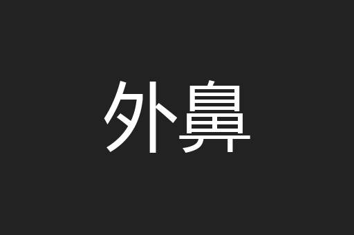 外鼻