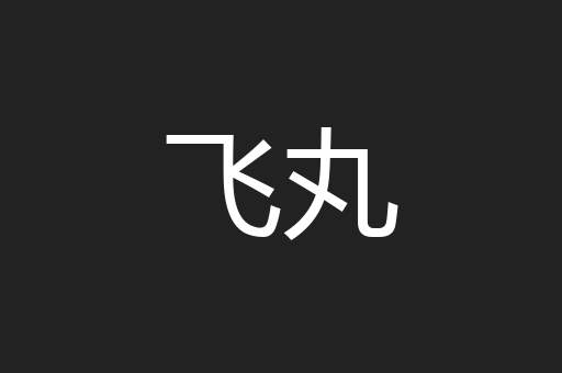 飞丸