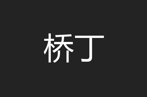 桥丁