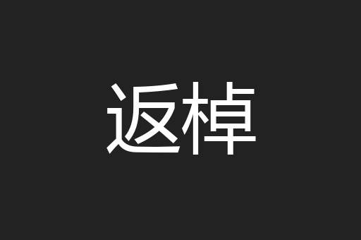 返棹