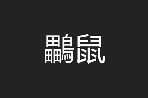 鸓鼠