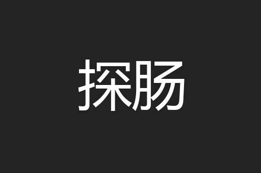 探肠