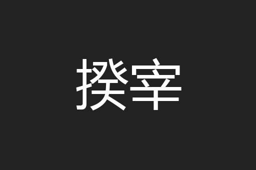 揆宰