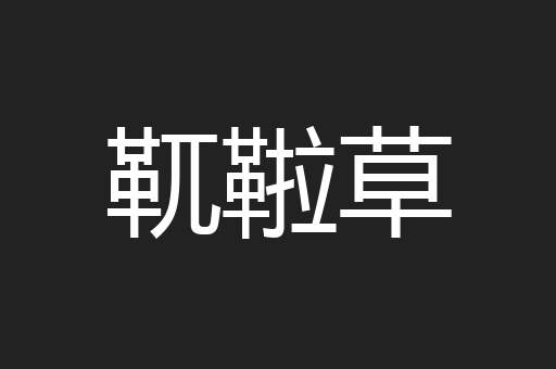 靰鞡草