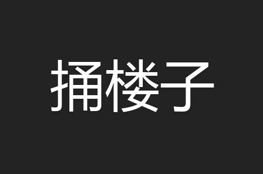 捅楼子