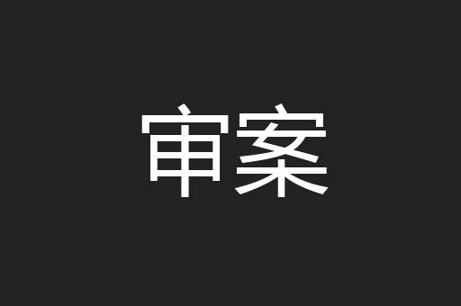审案