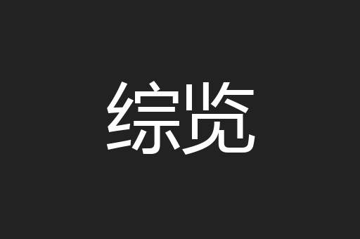 综览