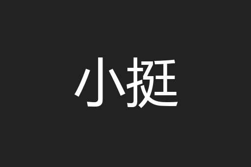 小挺