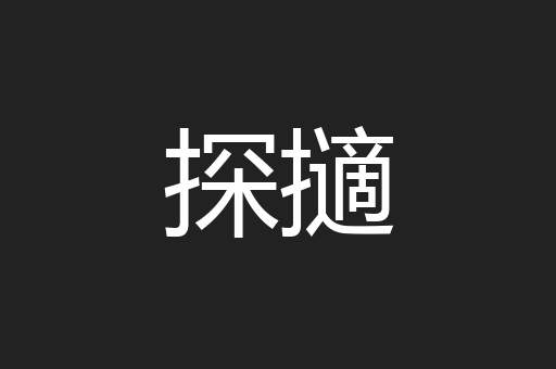 探擿