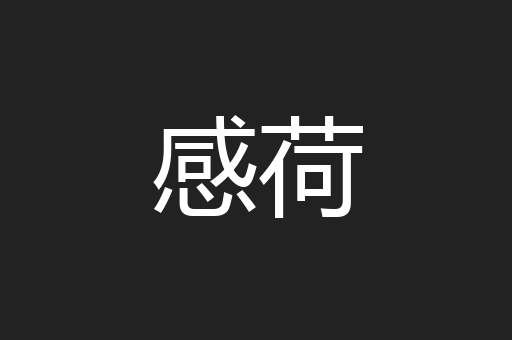 感荷