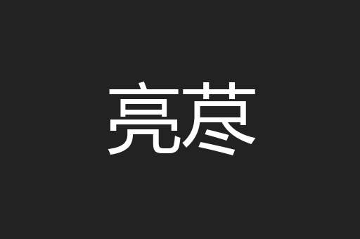 亮荩