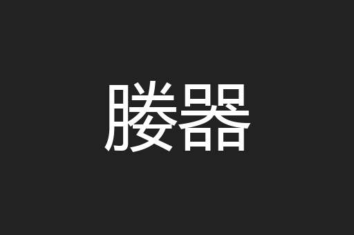 媵器
