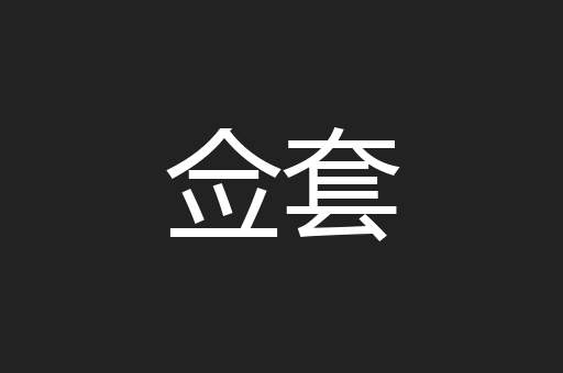 佥套