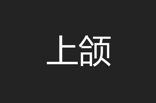 上颌