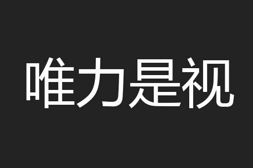 唯力是视