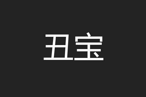 丑宝