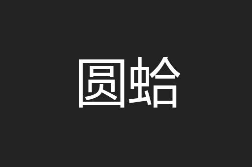 圆蛤