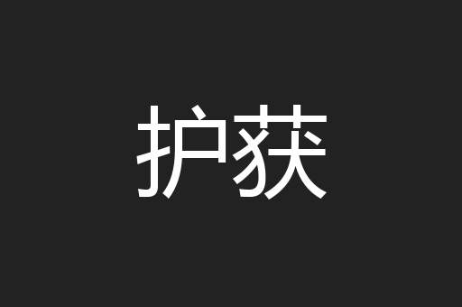 护获