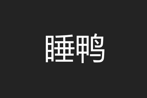 睡鸭