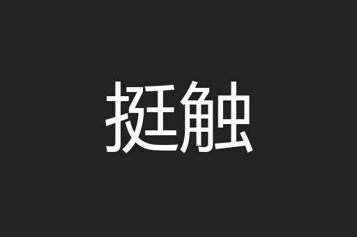 挺触
