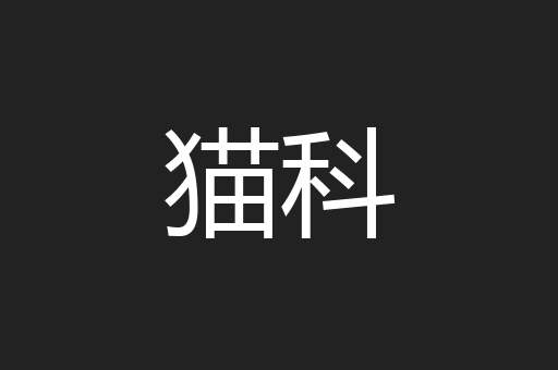 猫科